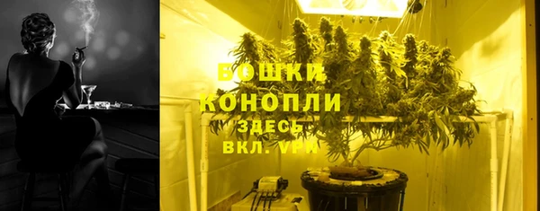 стафф Бородино