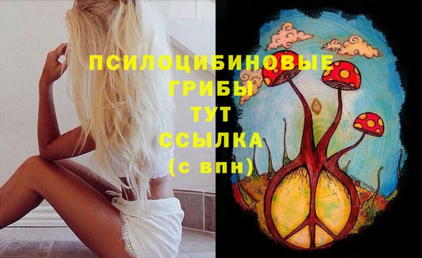 стафф Бородино