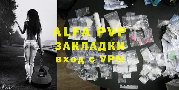 стафф Бородино